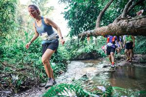 BIB: 
                            <button type="button" onclick="openModal(25461637)" class="btn btn-primary btn-sm float-right btn-popup" data-toggle="modal" data-target=".modal-high-quality">
                        <i class="fas fa-shopping-cart"></i> Add to Cart
                    </button>
                                            <button type="button" onclick="isThisMe(25461637, true)" class="btn btn-success btn-sm float-right btn-popup btn-isme hidden" data-toggle="tooltip" data-placement="bottom" title="นี่คือรูปของคุณใช่ไหม คลิกที่นี่เพื่อเอาเข้าอัลบั้ม">
                        <i class="fas fa-plus"></i> Add to album
                    </button>
                    <button type="button" onclick="isThisMe(25461637, false)" class="btn btn-warning btn-sm float-right btn-popup btn-isnotme hidden">
                        <i class="fas fa-ban"></i> Remove from album
                    </button>